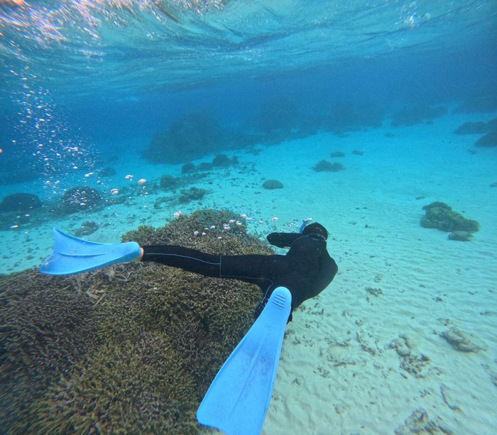 お兄さんも潜る