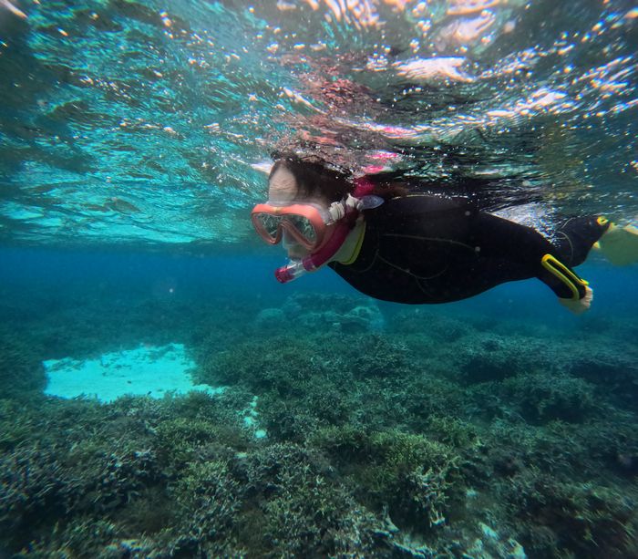2日連続75歳お母さん