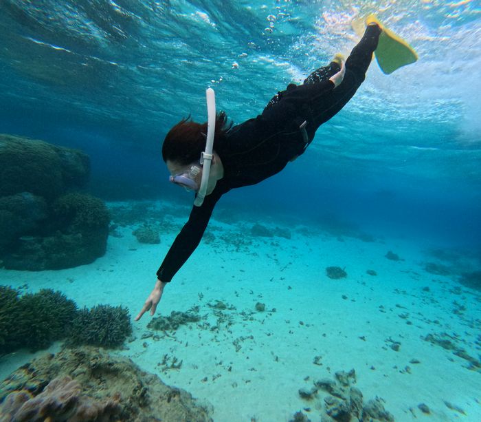 レベルアップ素潜りドボン