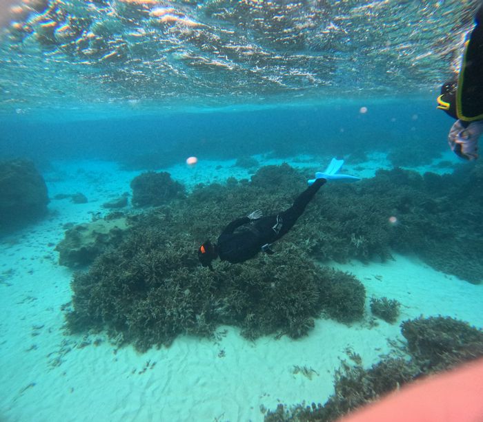 かろやかに潜る方