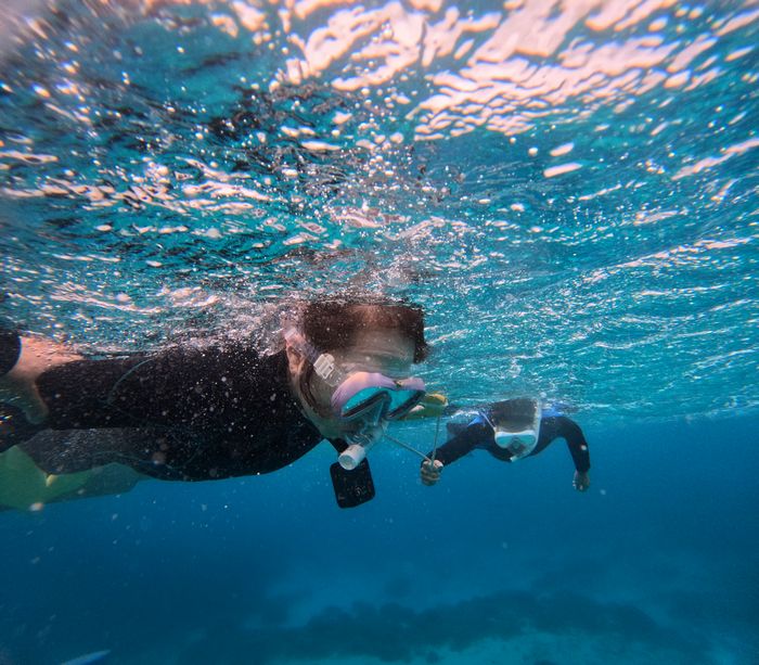 初シューケルは荒波
