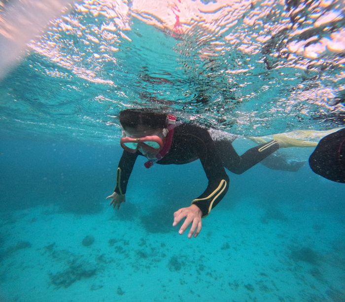 慣れてくれば一人で泳ぐ