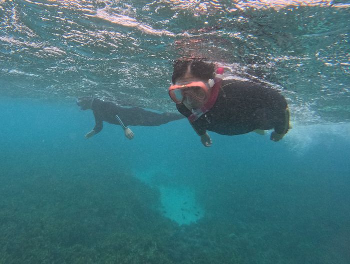 リピーターU田さん