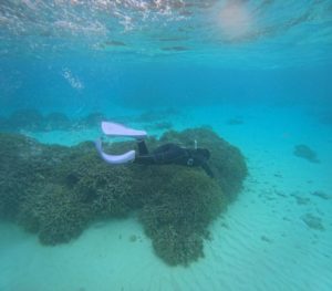 最終日、16時フライト前、波が高くなる前にラストシュノーケリング♪