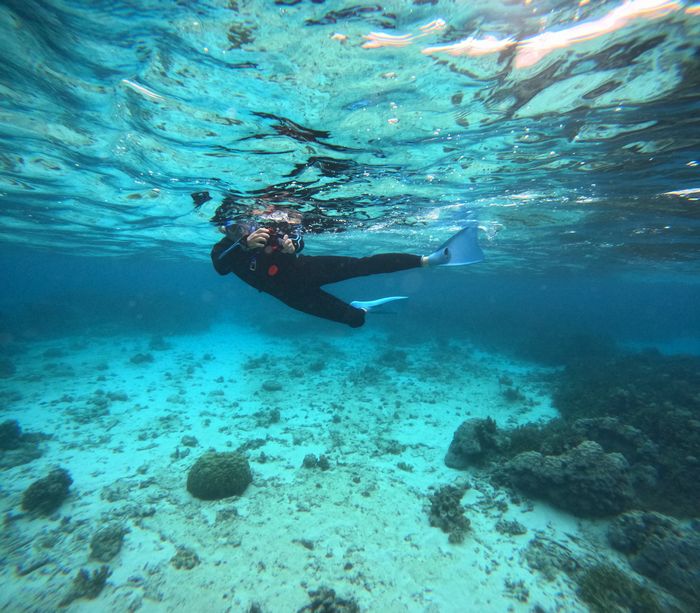 そんな様子を撮影しているお父さん