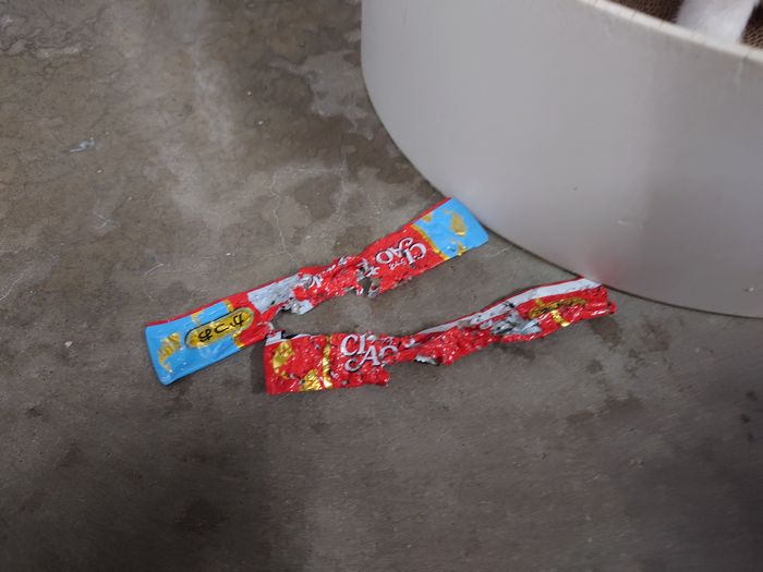 ん！チュールが。。。！ネコ