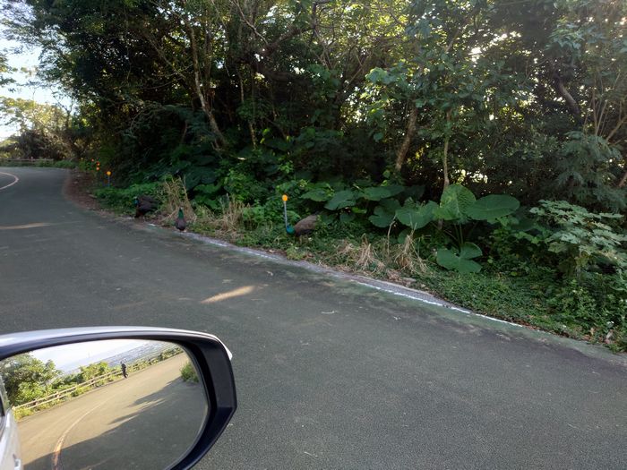 ドライブはいったん中止！