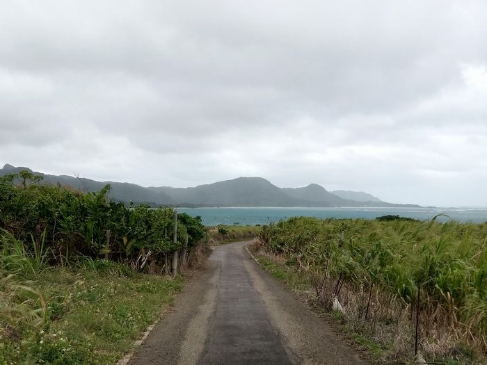 海の見える高台へ