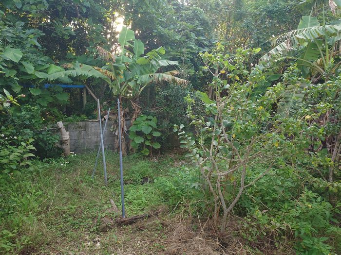 シャワー室裏は