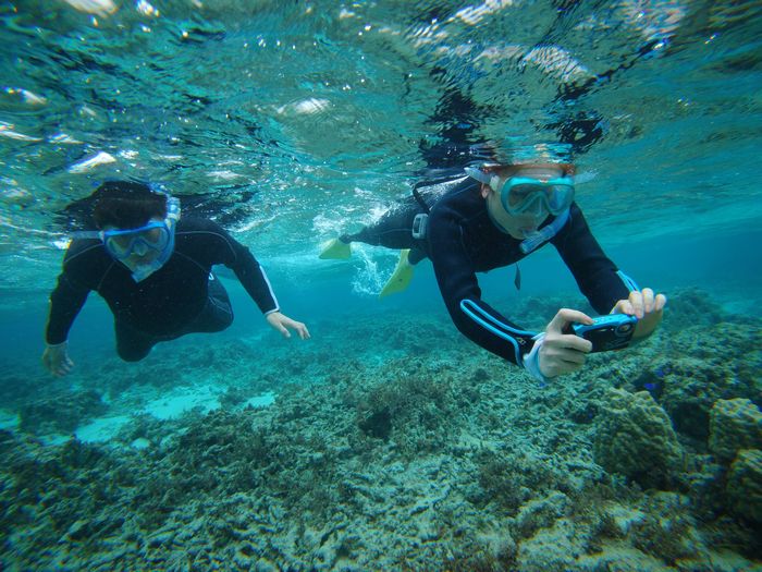 11時着から午後の半日シュノーケリング