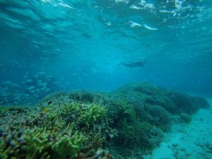 11時45分着、石垣島旅行初日は午後からの半日シュノーケリング！