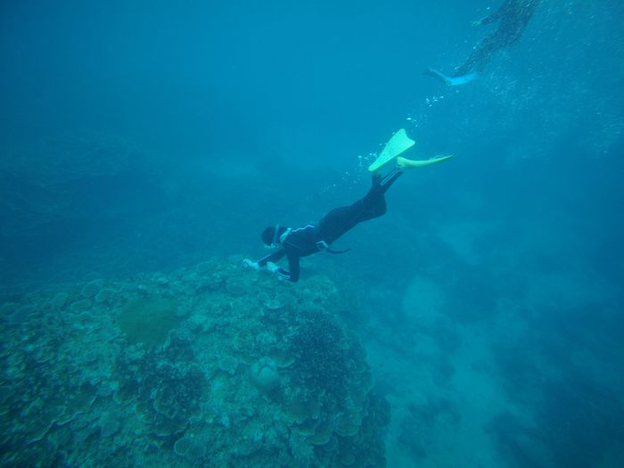 スキンダイビングの奥さん