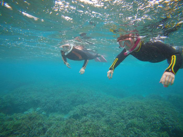 颯爽と泳ぎ始めて