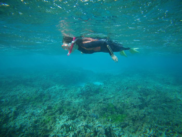 海好き、石垣島初上陸
