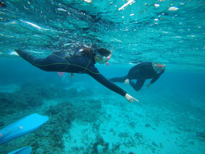 ベテランチーム、海を楽しむ
