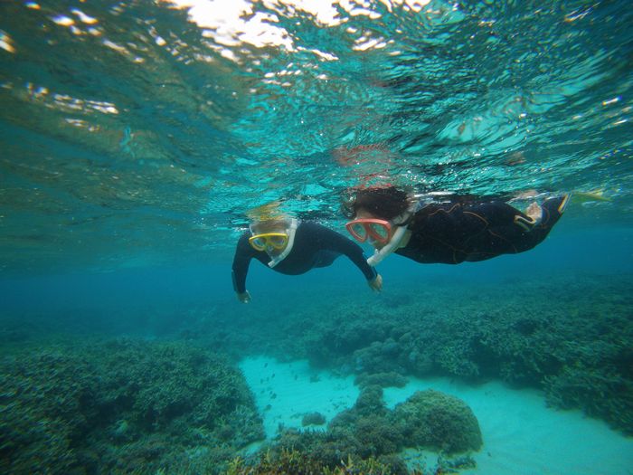 お父さんとお母さんも楽しむ
