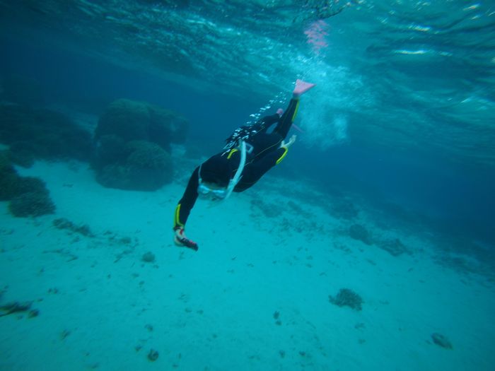 スキンダイビングトライ