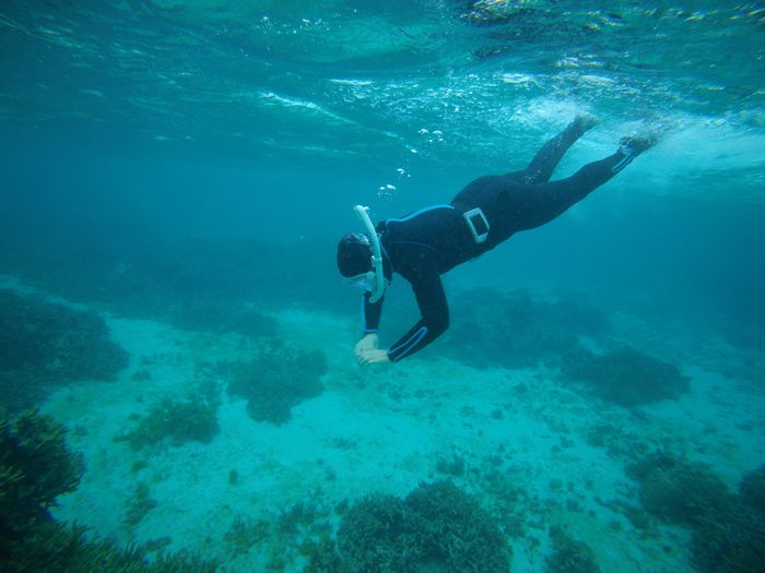 お母さんも潜る