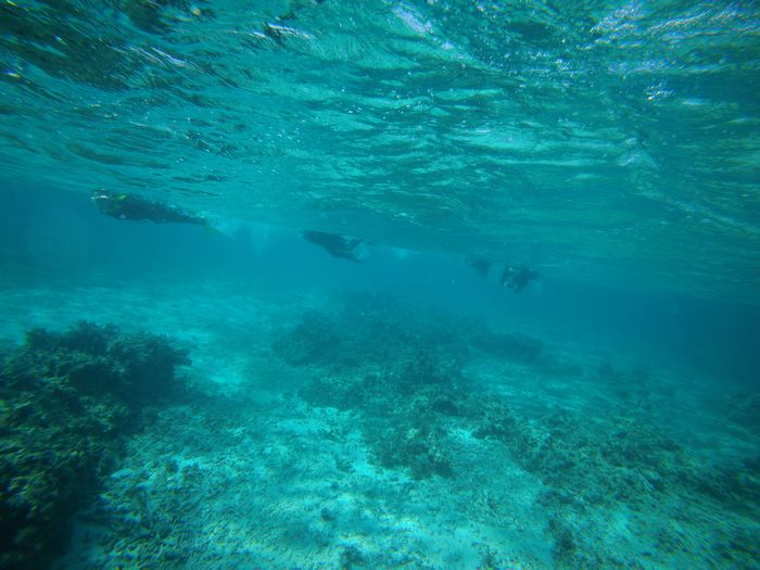 透明度抜群の海を突き進みます