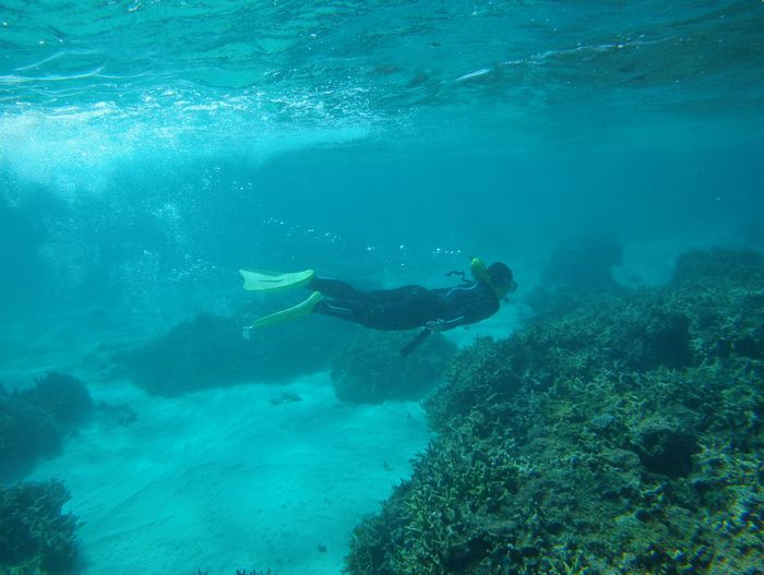 お姉さんもドボン