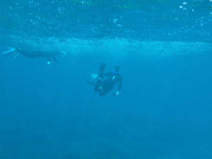 お兄ちゃんもドボン