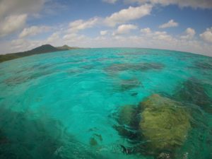 3月上旬・中旬は穴場！今から決める石垣島シュノーケリング