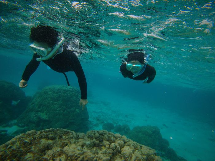 颯爽と泳ぎ始める