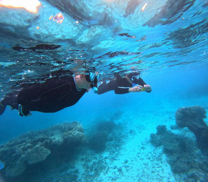 初めての石垣島！