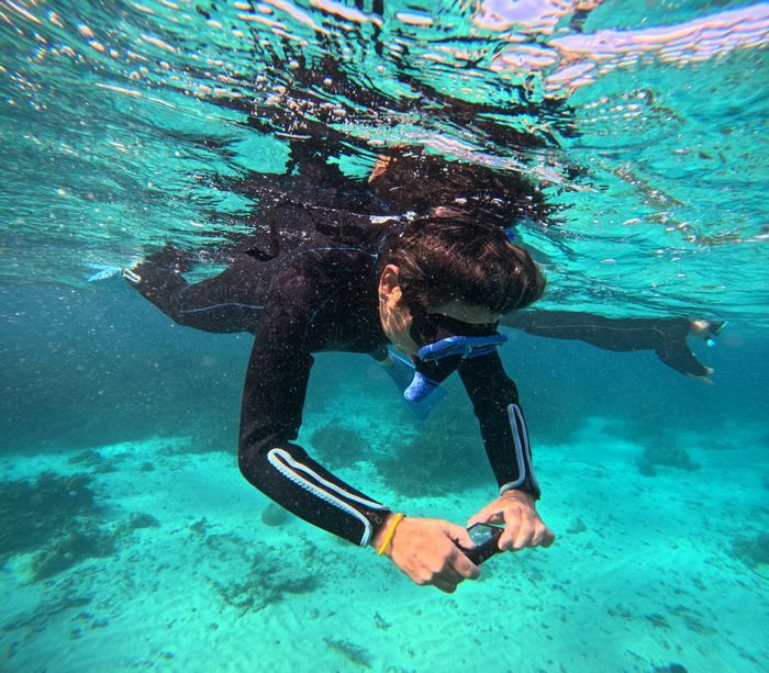 水中カメラを楽しむ