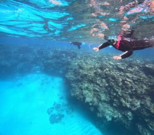新春初シュノーケリングは洗練された青！透明感溢れる水中世界♪