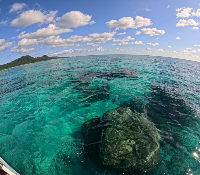 やっぱり大丈夫、落ち着いた波具合ですから