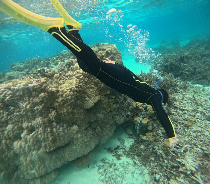 素潜りドボンの始まりです