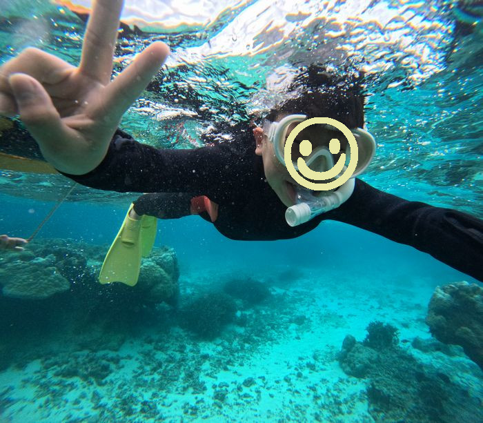 セイシン君も余裕