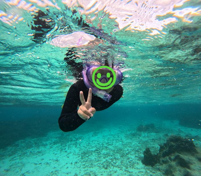 ココロお姉さん、順調で