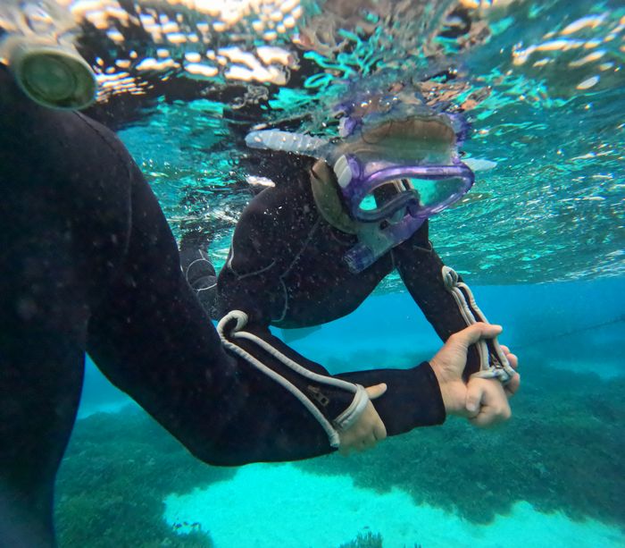 マスクにトライも