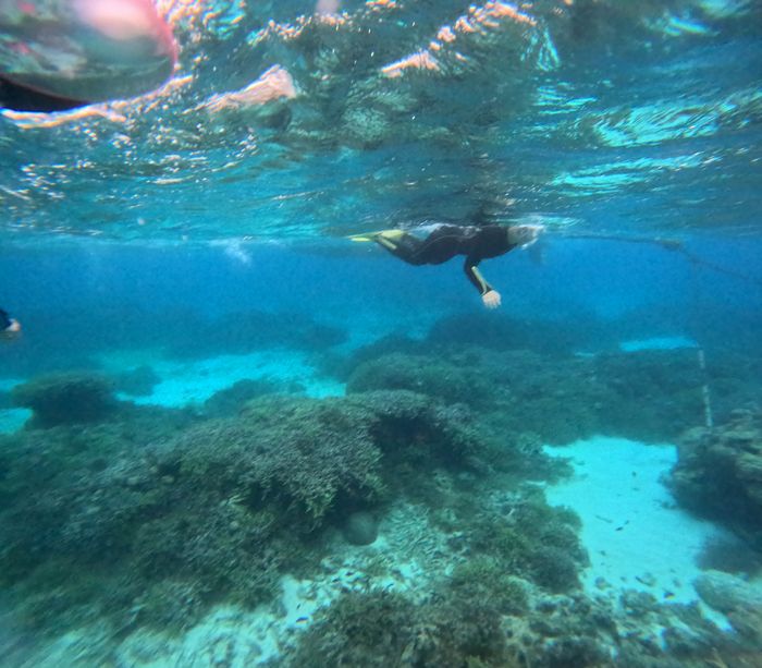 ラストスパートを楽しむお母さん