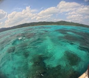 2月の石垣島、正直寒い？現地ガイドが“本音”で答えます｜冬のシュノーケリング完全解説