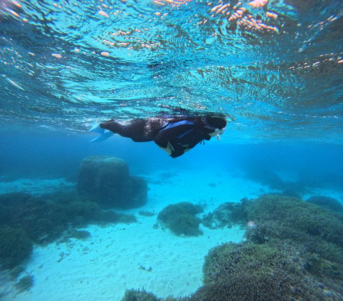 旅行最終日はシュノーケリング