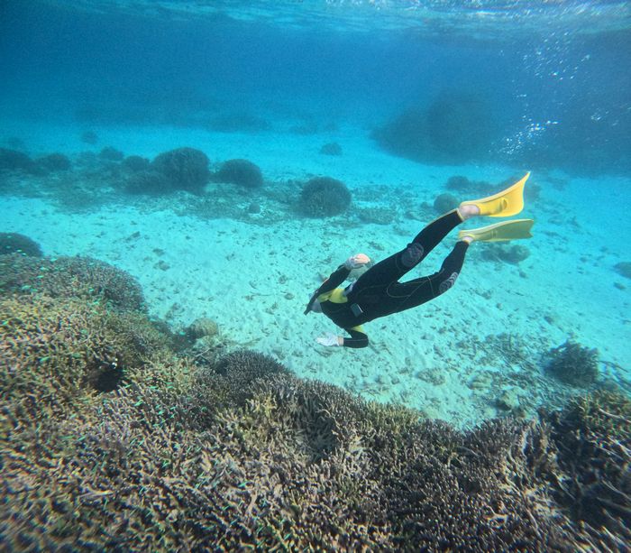 素潜りドボンが始まります。