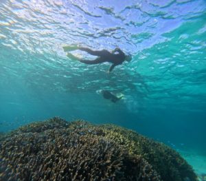 快晴、穏やかな海！冬の晴れは絶景、勝ち組シュノーケリング！