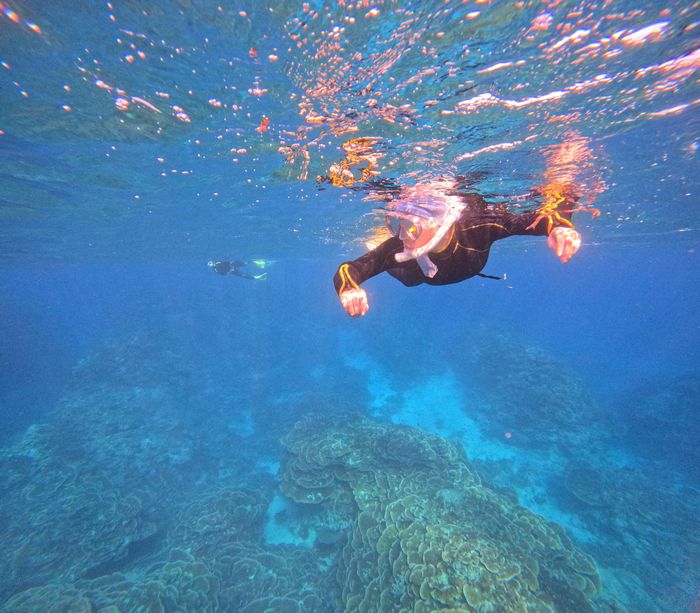 深場も透明度も抜群