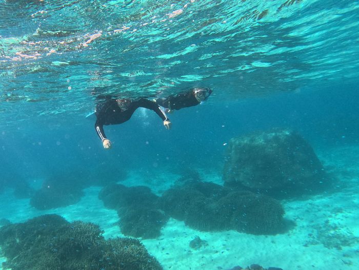 K谷さん、N本さんも