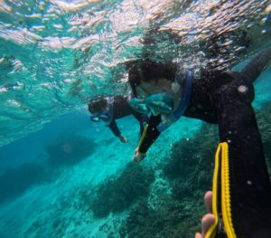 ん！んん！！晴れているけれど。。。。強風、荒波シュノーケリング。。。。