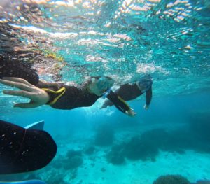 2月3月、初心者さんが一番楽しめる理由｜石垣島シュノーケリング