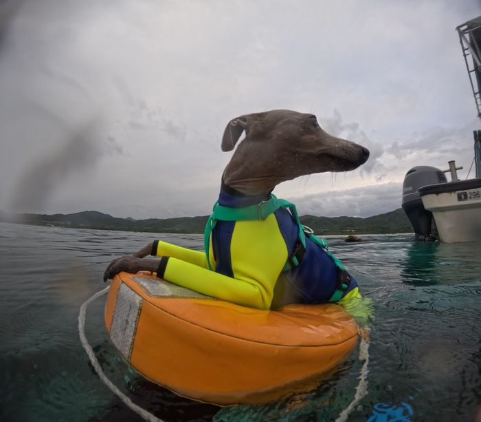 浮かんでちょっと休憩