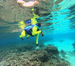 ペットのワンちゃんも楽しんだ石垣島シュノーケリング♪