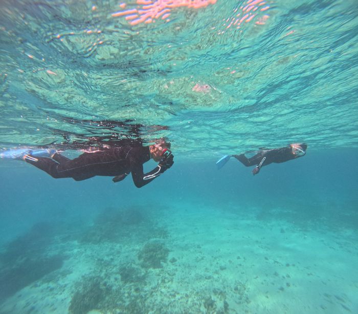 リピーターA井さんとM木さん