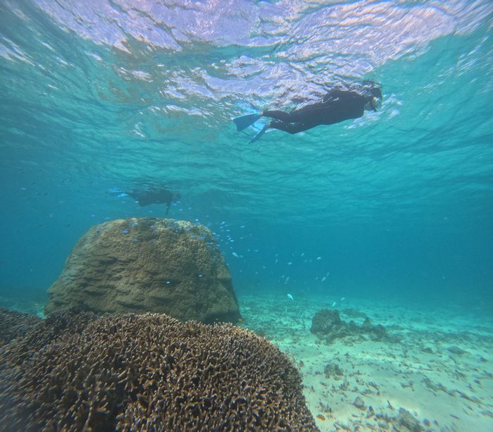 透明度抜群の海が広がる