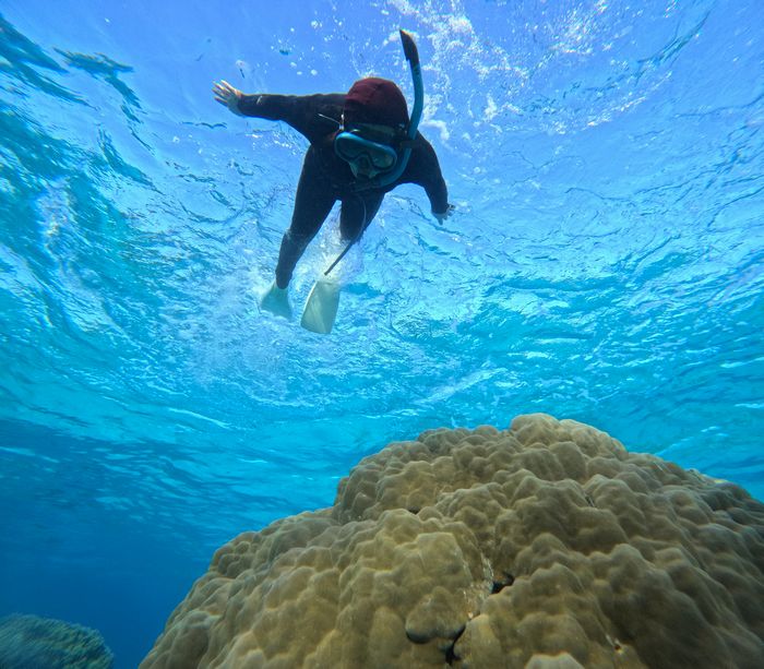 やっぱり潜る練習