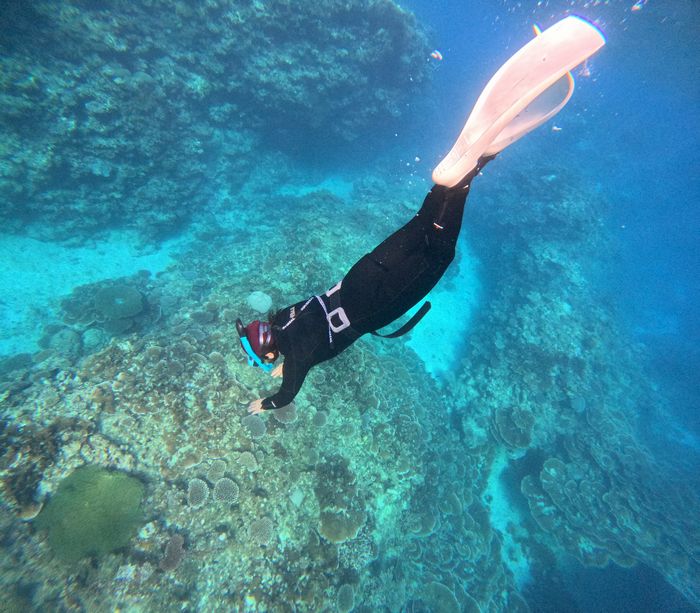 深場ではコツをつかみました
